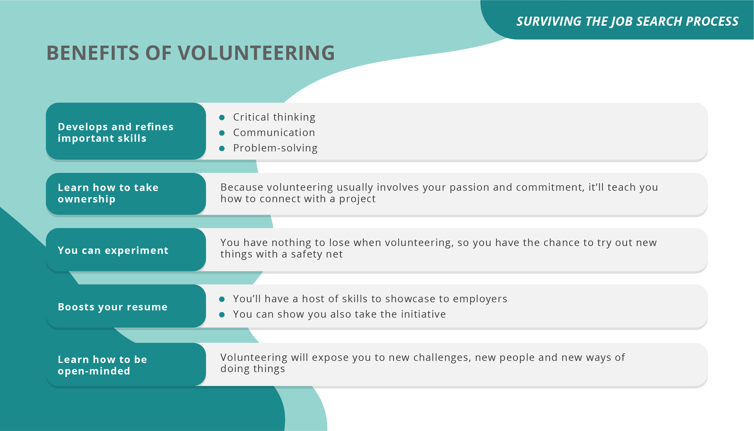 Surviving the Job Search Process_04