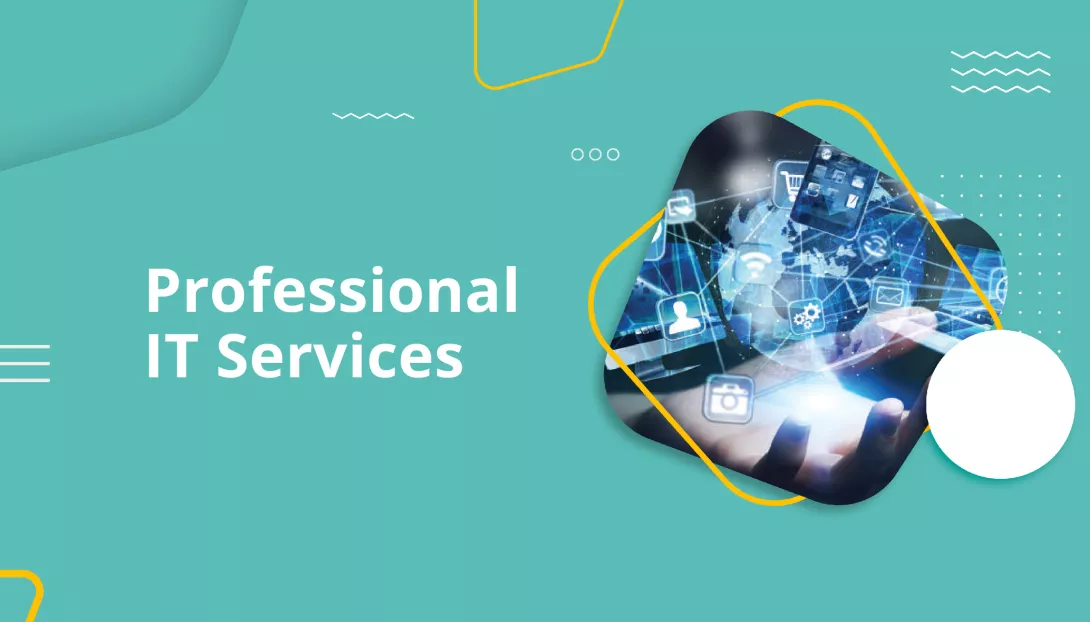 Professional IT Services